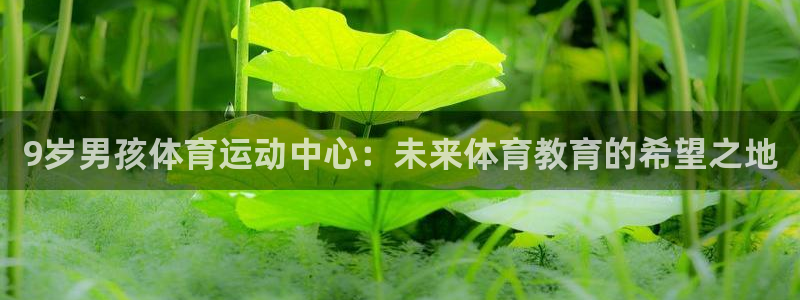 蜘蛛体育狐狸：9岁男孩体育运动中心：未来体育教育的希望之地