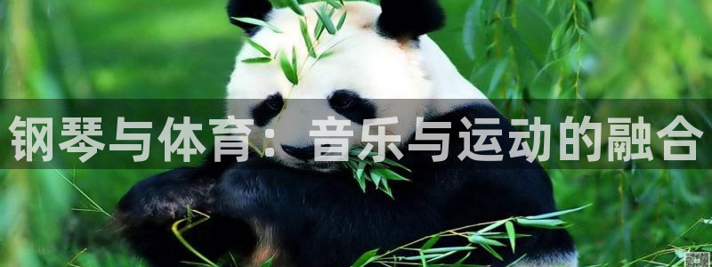 蜘蛛体育免费下载：钢琴与体育：音乐与运动的融合