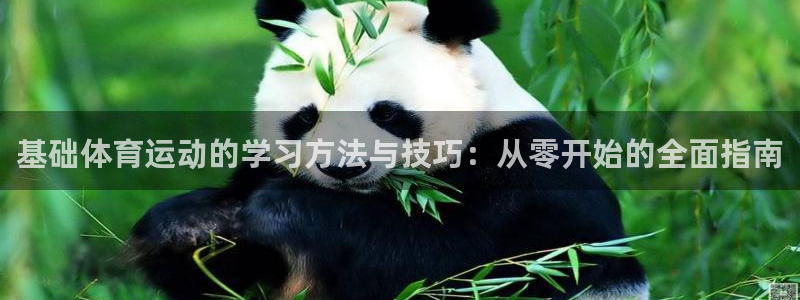 蜘蛛体育红单解说nba：基础体育运动的学习方法与技巧：从零开始的全面指南