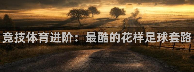 蜘蛛体育足球直播入口：竞技体育进阶：最酷的花样足球套路