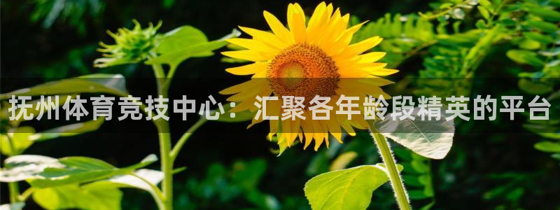 蜘蛛体育APP新发布.快速网.org：抚州体育竞技中心：汇聚各年龄段精英的平台