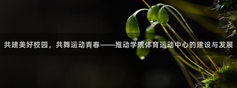 蜘蛛体育育今天火箭与热火比塞直播：共建美好校园，共舞运动青春——推动学院体育运动中心的建设与发展