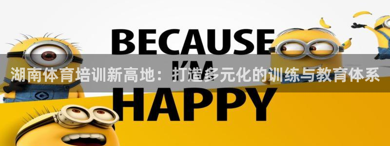 蜘蛛体育看球：湖南体育培训新高地：打造多元化的训练与教育体系