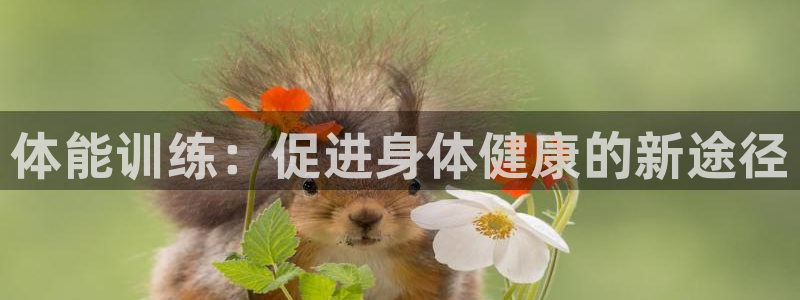 蜘蛛体育网祉.sujin.中国：体能训练：促进身体健康的新途径