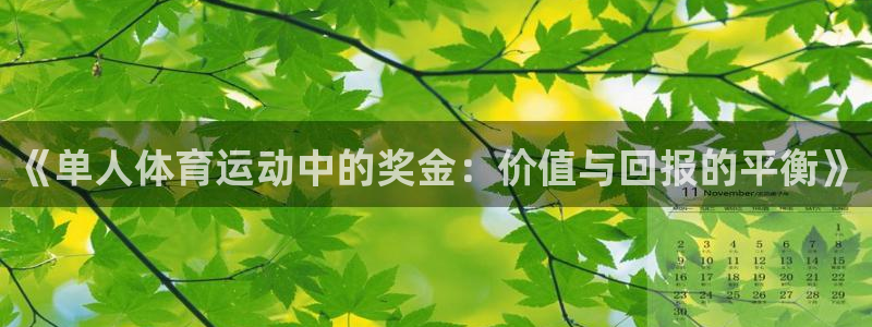 蜘蛛体育NBA直播免费观看：《单人体育运动中的奖金：价值与回报的平衡》