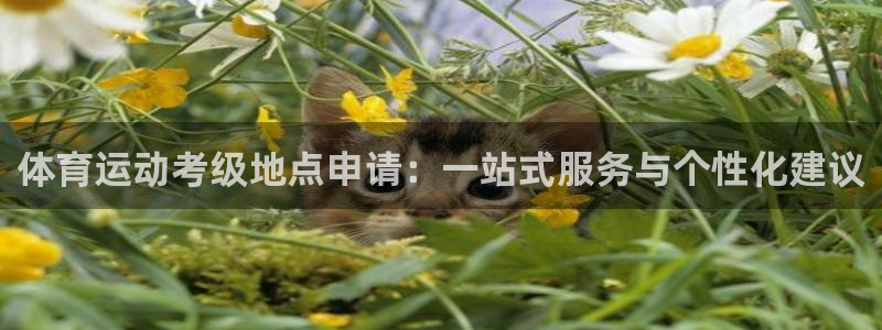 蜘蛛体育用户注册教程：体育运动考级地点申请：一站式服务与个性化建议