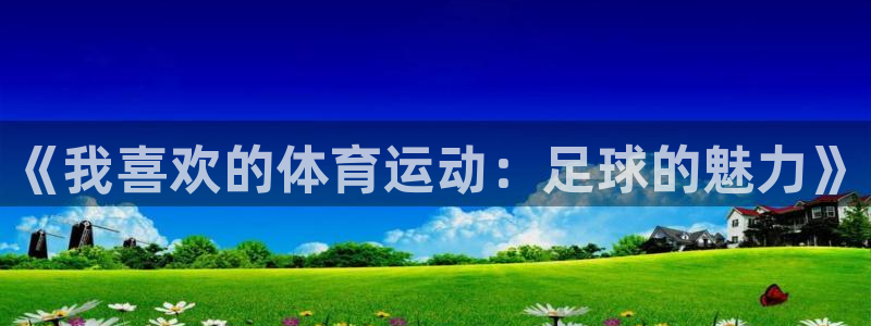 蜘蛛体育免费直播NBA：《我喜欢的体育运动：足球的魅力》