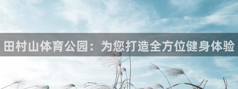 蜘蛛体育进1269’top：田村山体育公园：为您打造全方位健身体验